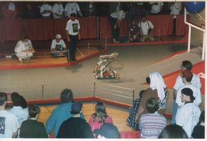 Team 20 during a match [2]