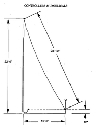 Diagram showing the length of the umbilical [11]