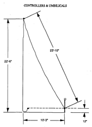 Diagram showing the length of the umbilical [10]