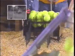 Team 111's robot with a small camera attached with the on-robot view superimposed onto the monitor feed [4]