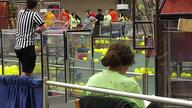 2017 2017mikk frc33 kettering_kickoff match offseason robot // 5184x2920 // 3.4MB
