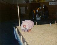 1992 1992cmp 1992pig match robot // 1313x1037 // 158KB