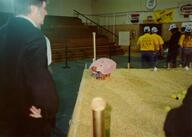 1992 1992cmp 1992pig // 1444x1033 // 117KB