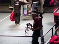 1999 1999pa frc268 match robot // 400x300 // 25KB