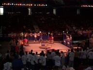 1999 1999pa match practice robot // 1152x864 // 295KB