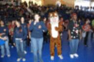 2005 2005roc // 100x66 // 7.6KB