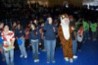 2005 2005roc // 100x66 // 7.1KB