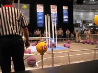 2004 2004va match robot // 800x600 // 89KB