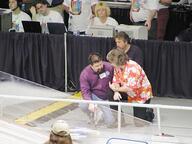 2003 2003va frc116 team // 480x360 // 36KB