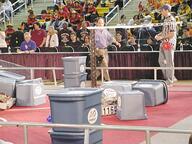 2003 2003md frc116 match robot // 480x360 // 51KB
