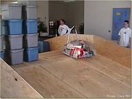 2003 build frc869 robot // 500x376 // 44KB