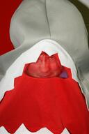 2012 2012or mascot // 1064x1600 // 223KB