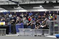 2022 2022miwoo crowd // 5184x3456 // 1.7MB