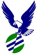 1996 frc23 logo // 166x242 // 2.8KB