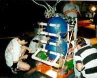 1998 1998tx frc179 pit robot team // 250x203 // 24KB