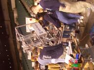 2002 2002oh frc234 pit robot // 1152x864 // 180KB