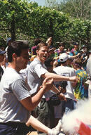 1996 1996cmp crowd frc151 // 595x882 // 136KB