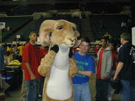 2003 2003oh frc274 mascot // 1600x1200 // 338KB