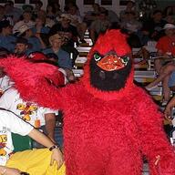 2001 2001cmp frc5 mascot // 480x640 // 80KB